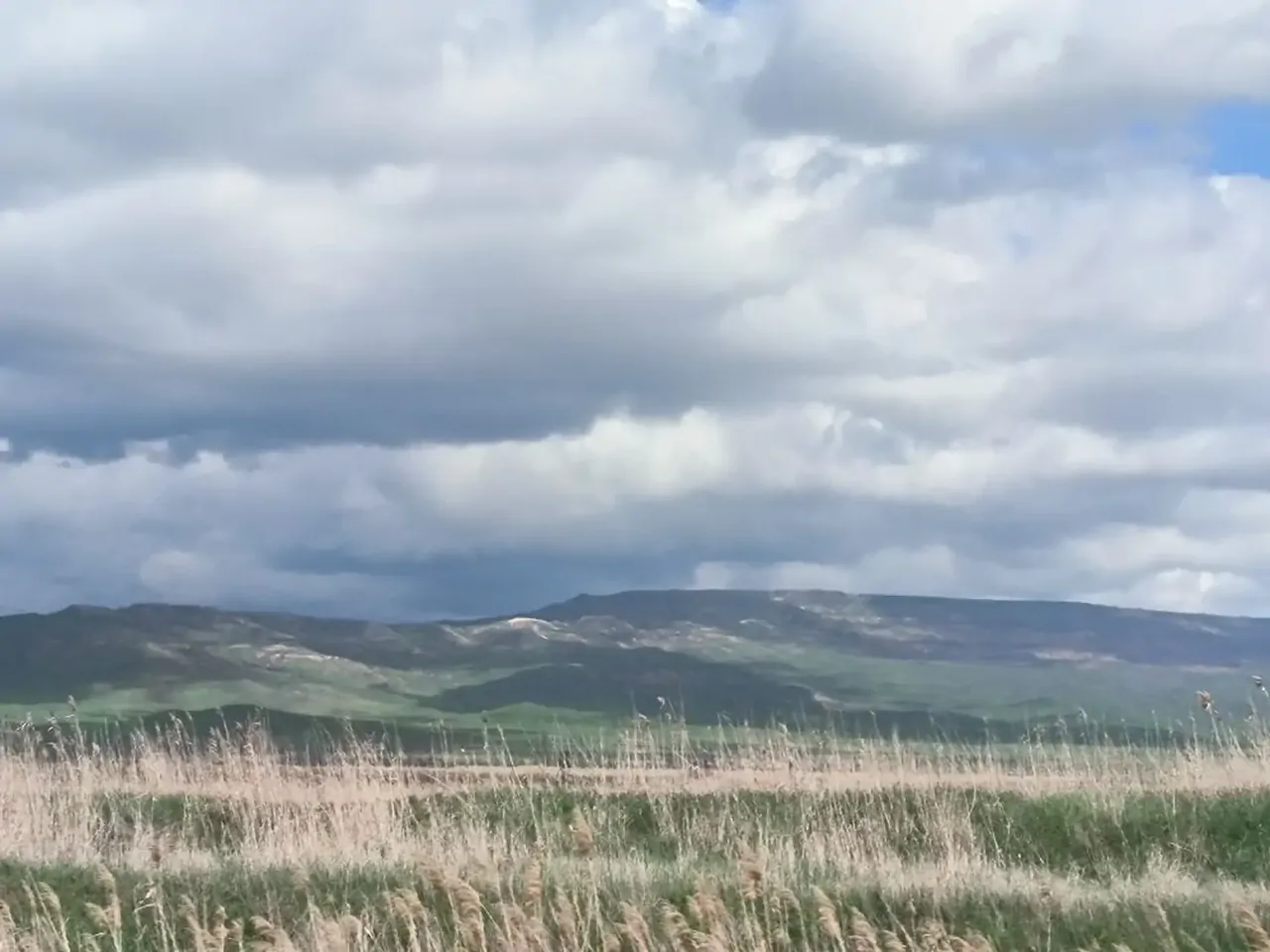 Новая неделя на Ставрополье начнется с дождей