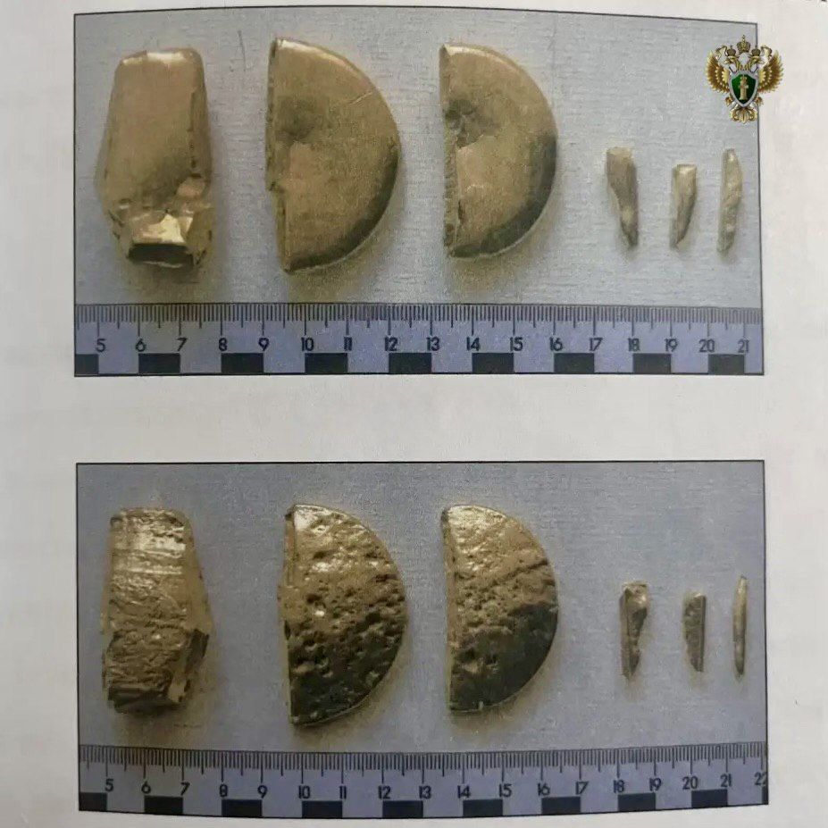 Женщина пыталась вывезти за границу 6 слитков золота через аэропорт Минвод