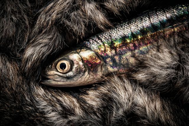 Селёдка под шубой по ГОСТу 1973 года: вот почему раньше она была вкуснее — 2 забытых ингредиента