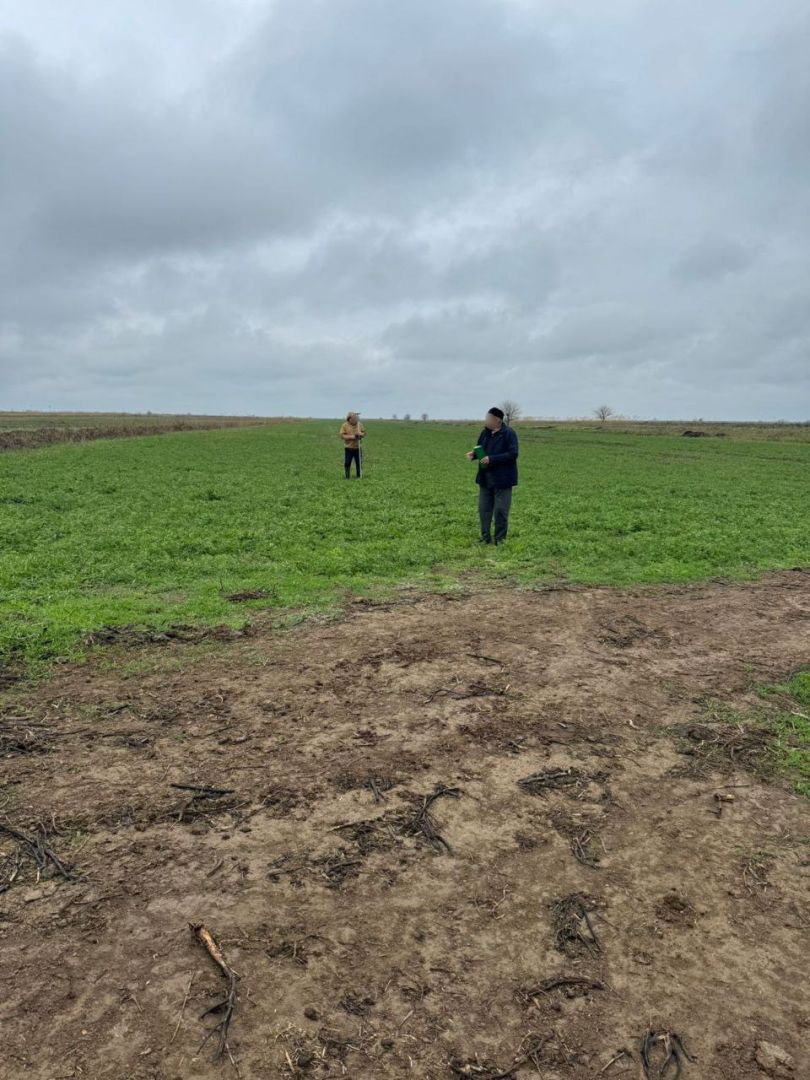 Глава КФХ обманом получил более 9 млн рублей субсидий