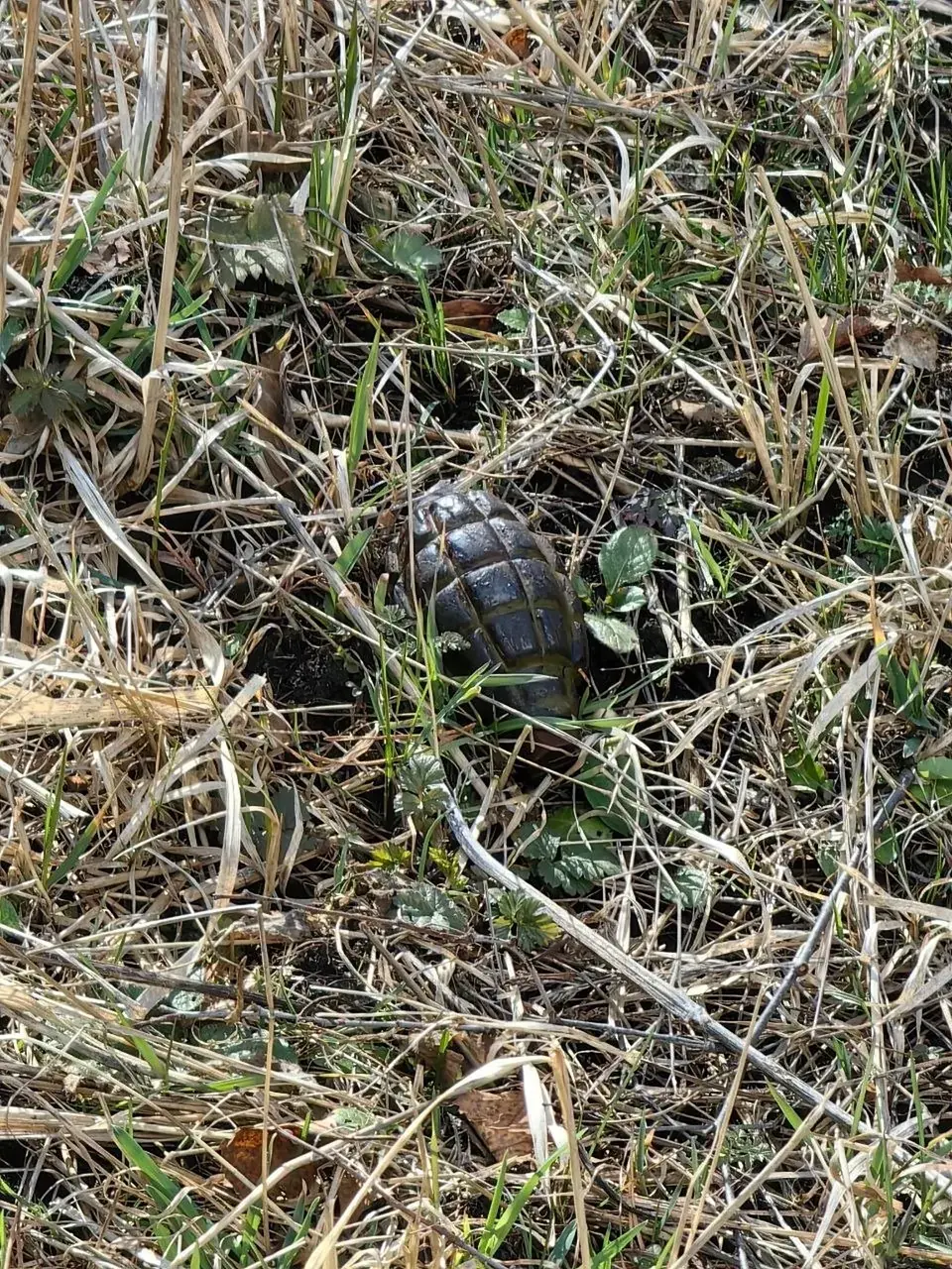 Гранату обнаружили недалеко от Олимпийского комплекса в Кисловодске