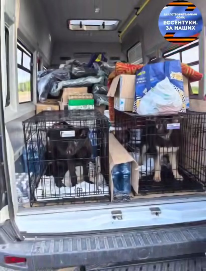 Двух щенков для бойцов-кинологов отправили из Ессентуков на передовую вместе с гуманитарной помощью