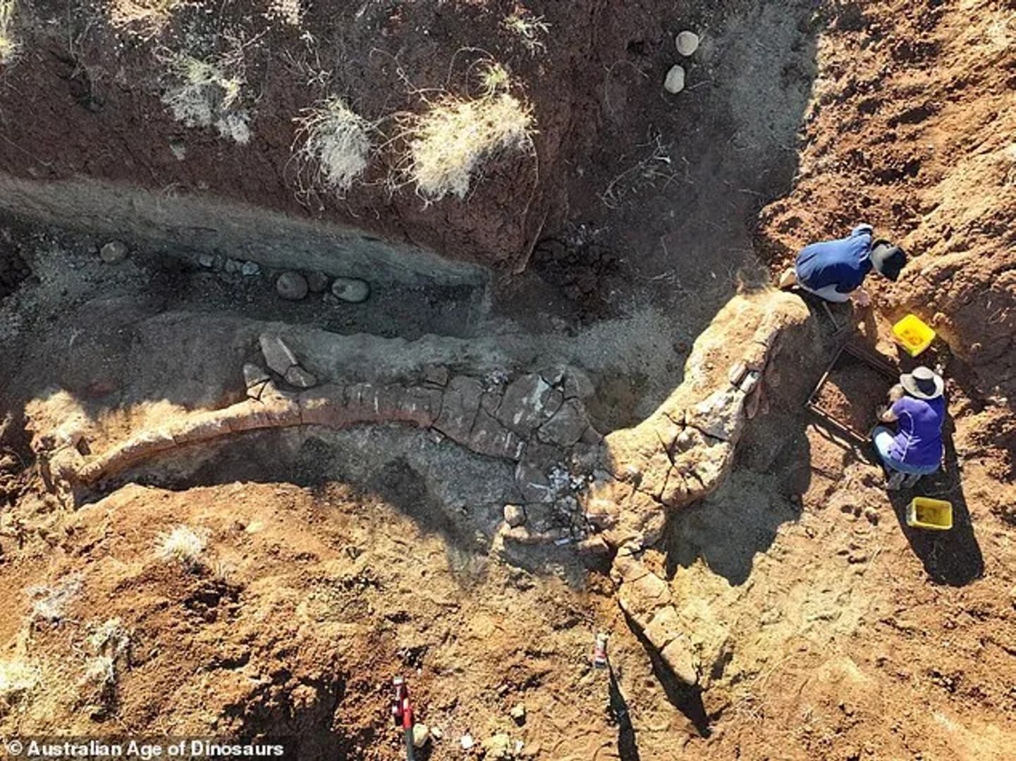 Охотница за сокровищами сделала невероятную находку на участке своего соседа