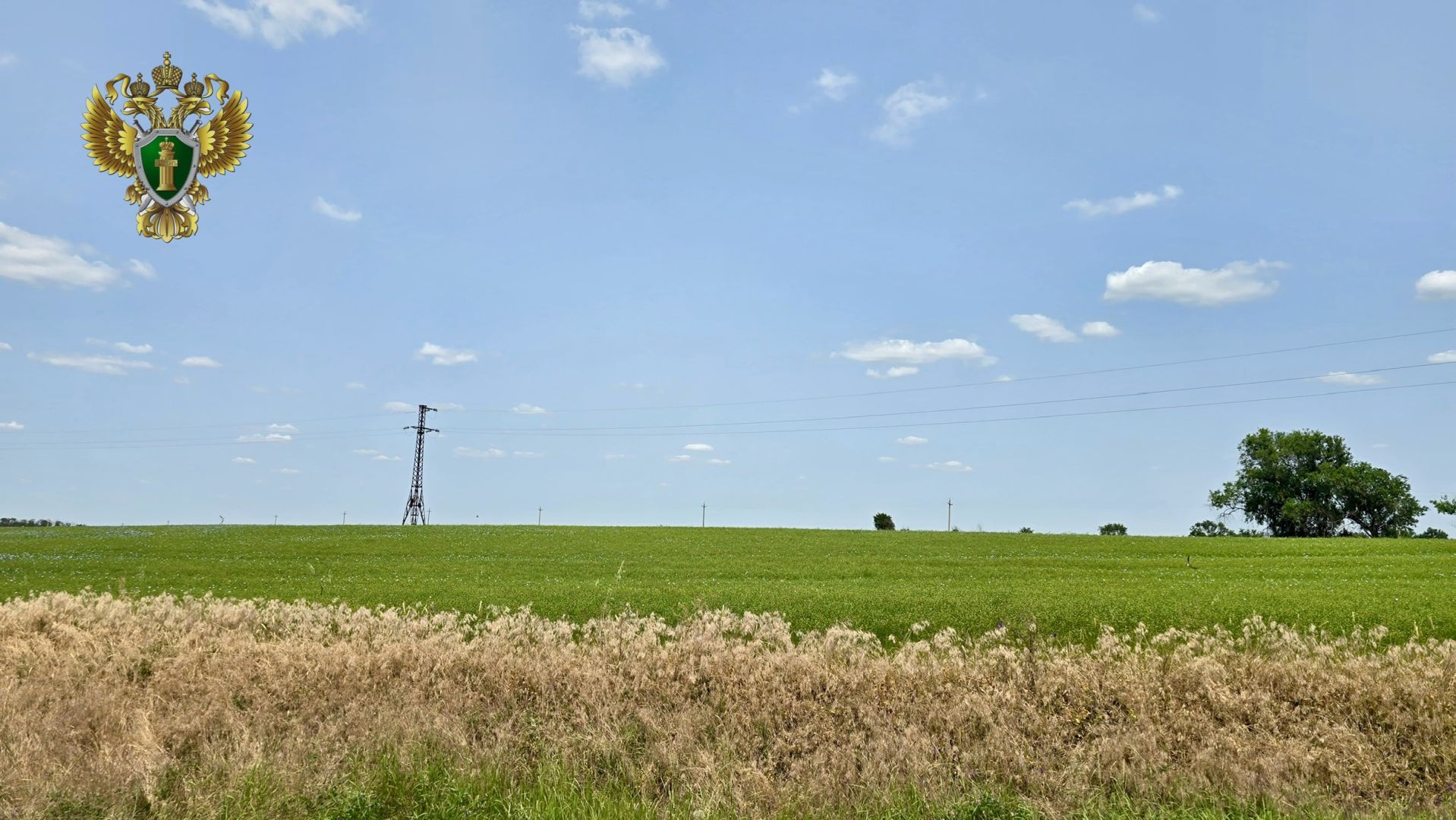 На Ставрополье аграриев оштрафовали за посевы на чужих землях