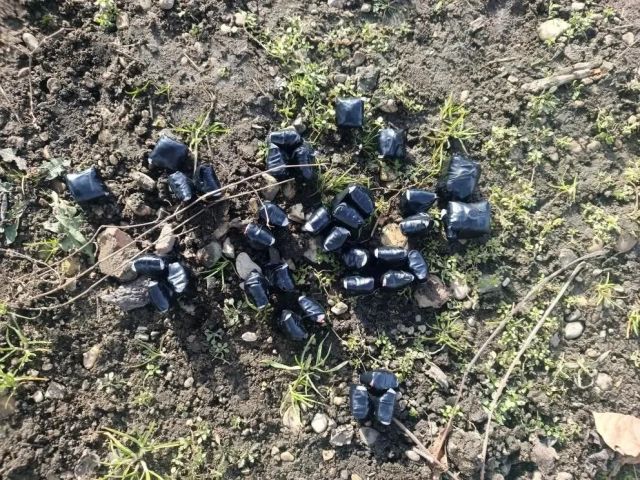 Иностранец пытался сбыть наркотики в Пятигорске