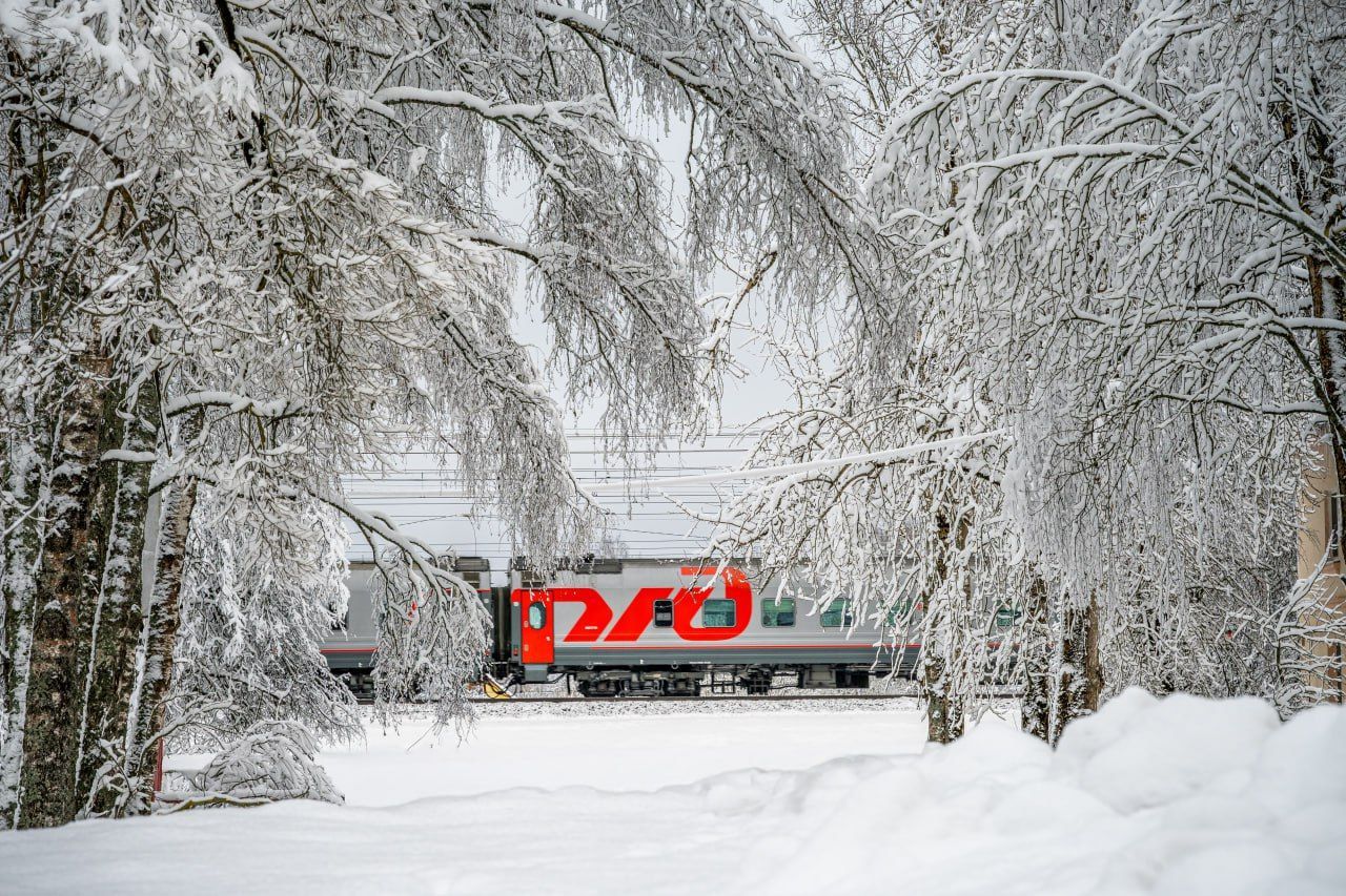 Круизный поезд на родину Деда Мороза впервые запустят из Минеральных Вод