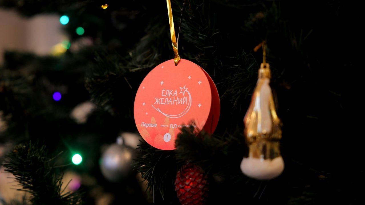 Юные ставропольцы получили новогодние подарки от ректора СтГАУ