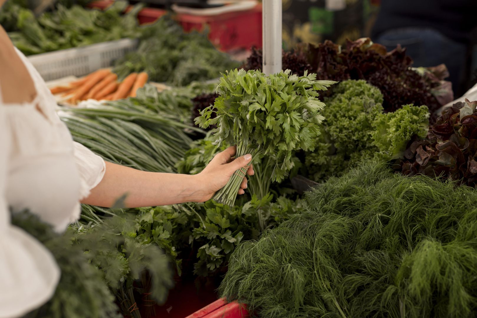 Последние осенние ярмарки пройдут в Ставрополе