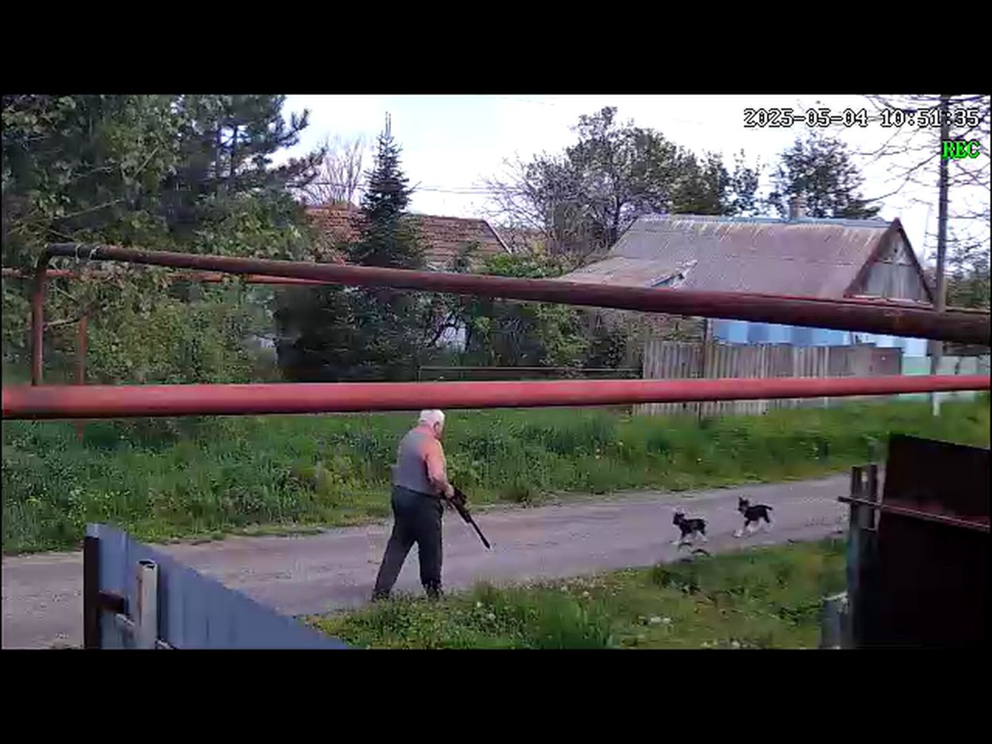 Мужчина выстрелил в безобидного щенка в ставропольском селе