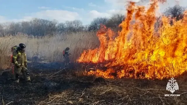 Пять гектаров камыша горят в Ставрополе