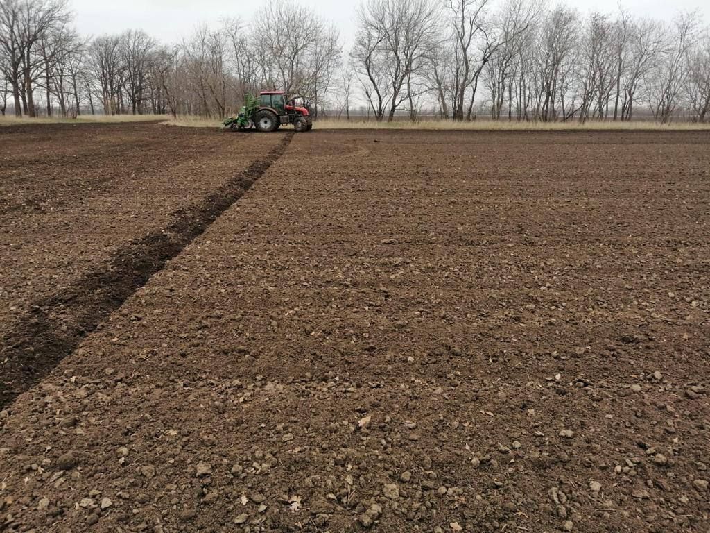 На Ставрополье завершили сев сахарной свеклы