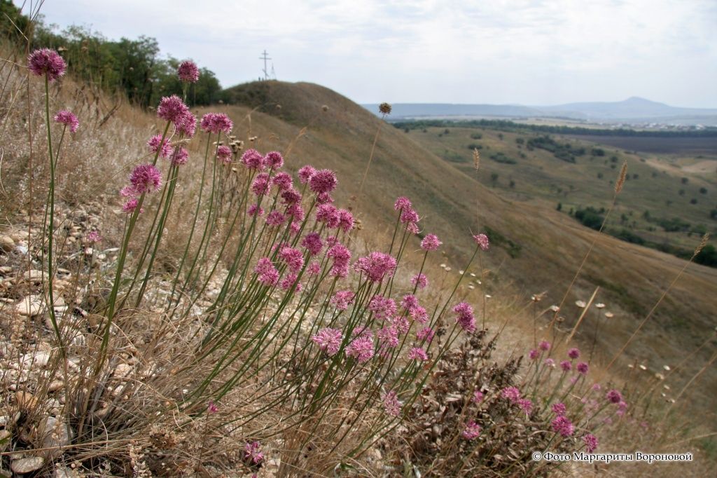 Гора Дубровка на Ставрополье получила охранную зону