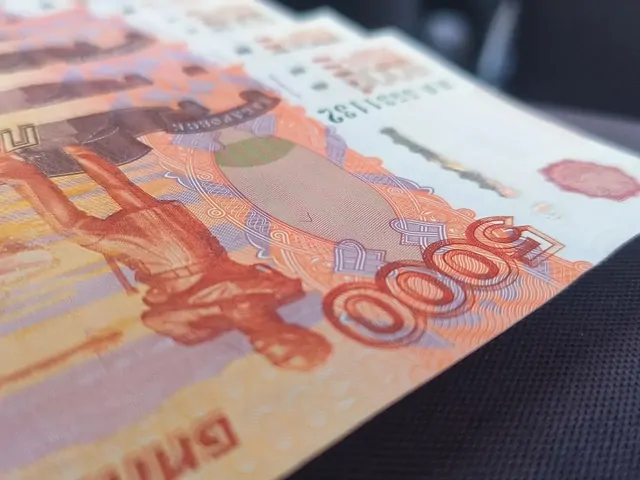 Домработница с подругой обокрала ставропольца