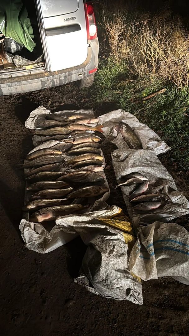 На двух ставропольцев завели уголовное дело после рыбалки