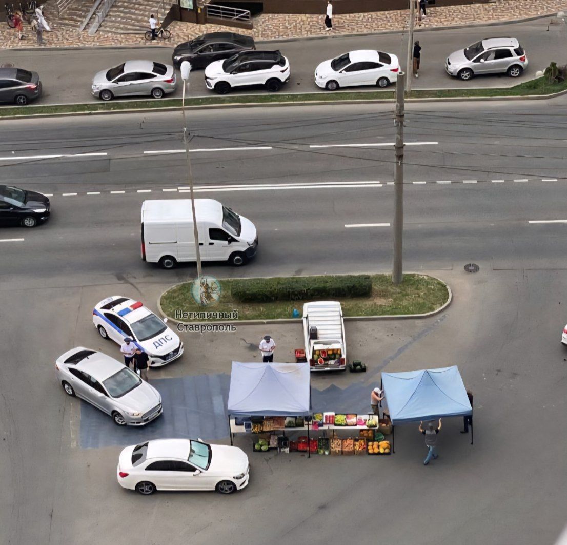 Уличные торговцы закрасили зебру в Ставрополе