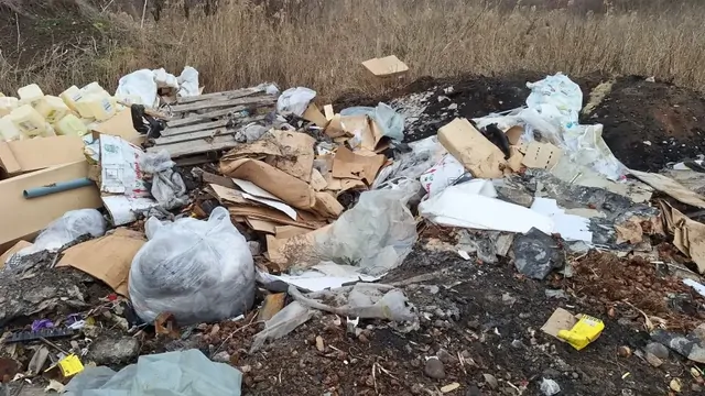 Предприятие по выращиванию цветов устроило несанкционированную свалку на Ставрополье