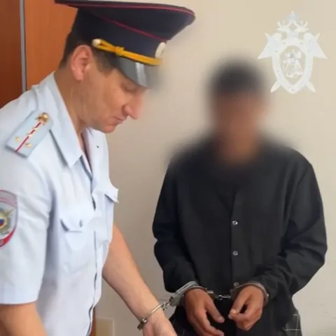 Пьяная ссора в селе на Ставрополье закончилась убийством и 9 годами колонии