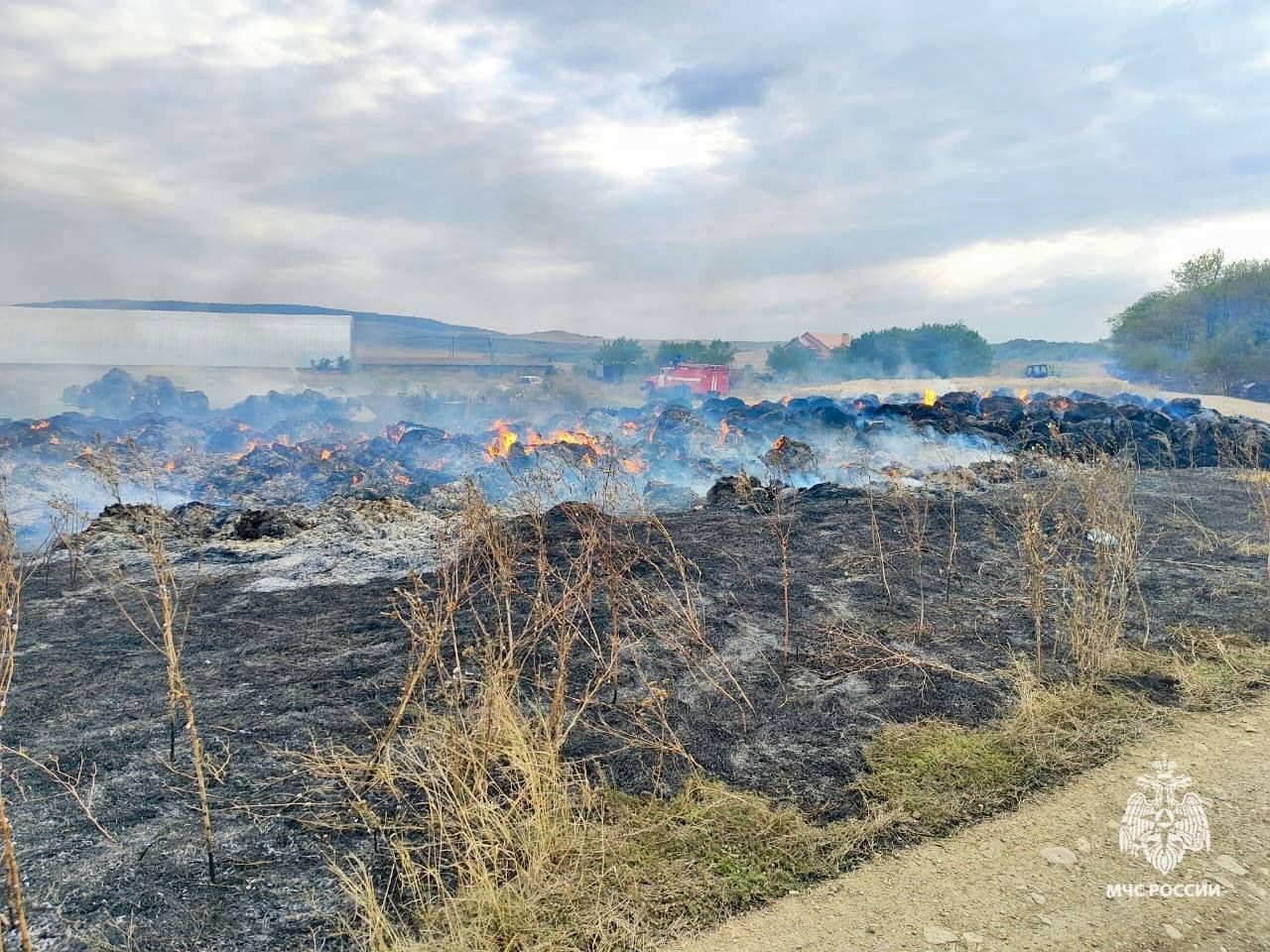 На Ставрополье пожар уничтожил несколько теплиц и запасы фермера на зиму