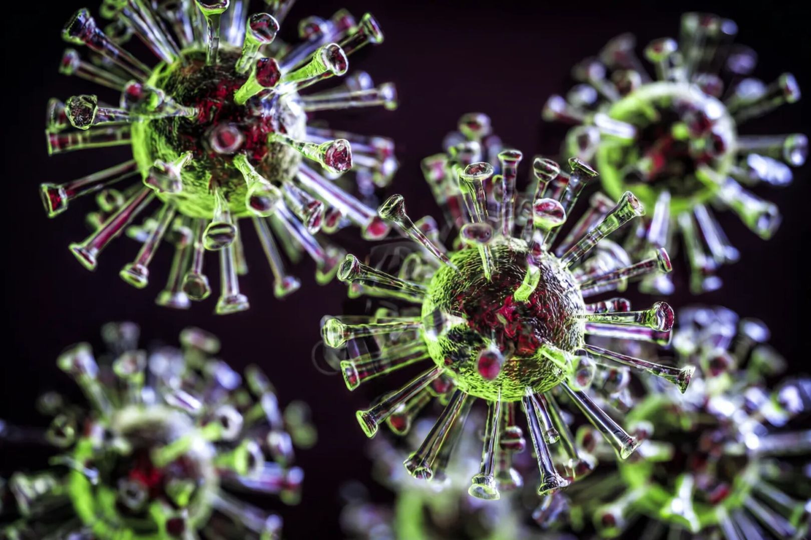 В России выявлен новый штамм коронавируса с необычными симптомами