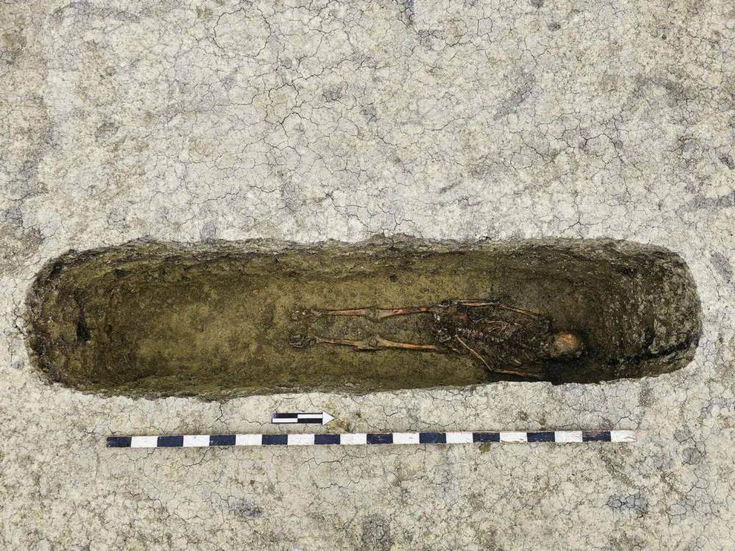 Тайна пяти курганов: что нашли археологи в «кузнице» древнего мира под Железноводском