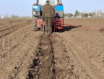 Новый лес заложили на 34 га Ставропольского края