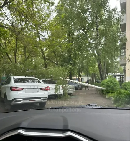 Дерево упало на машины в Ставрополе