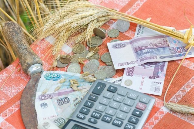 Почти 2 миллиона рублей получил глава КФХ Ставрополья на мошенничестве с сельхозсубсидиями Почти 2 миллиона рублей получил глава КФХ Ставрополья на мошенничестве с сельхозсубсидиями