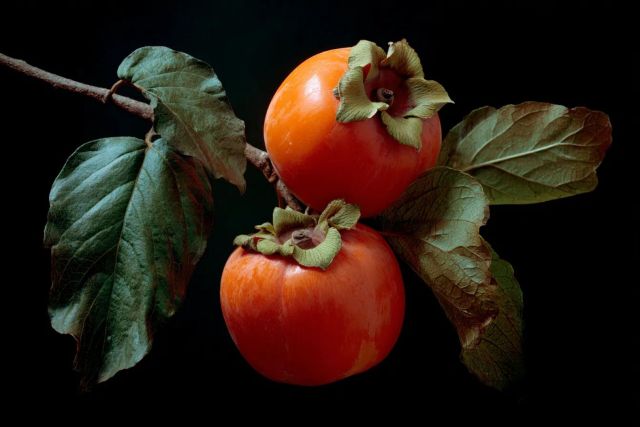 Супeрпродукт сентября: чем он опасен и кому нельзя его есть