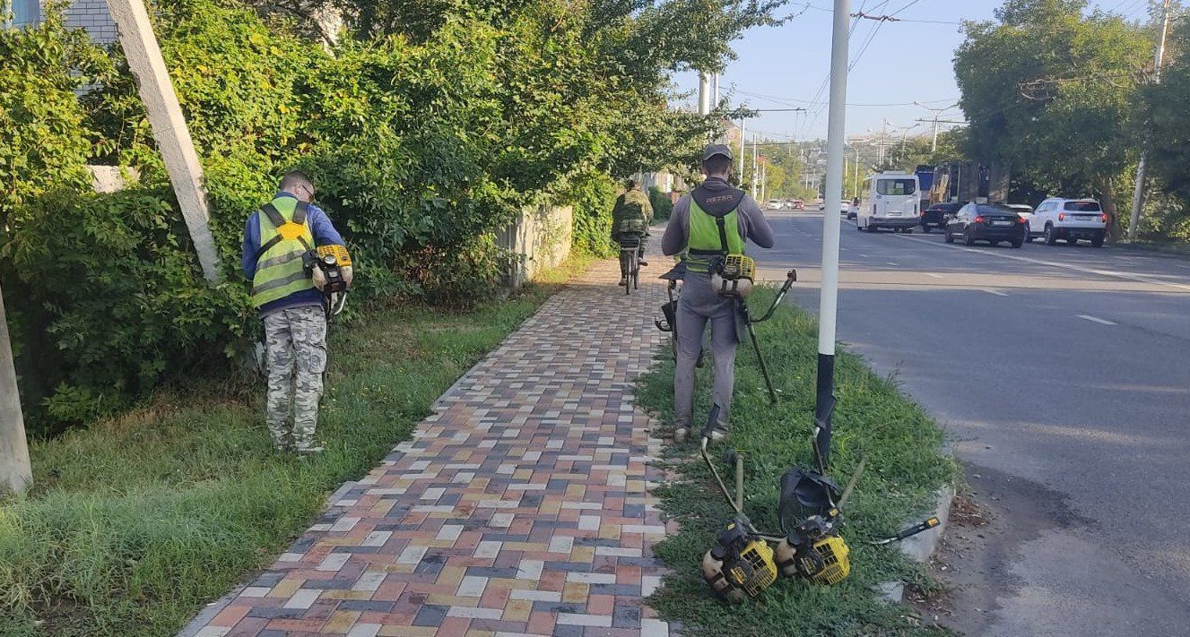 Почти 5 млн рублей выделили на борьбу с амброзией в Ставрополе