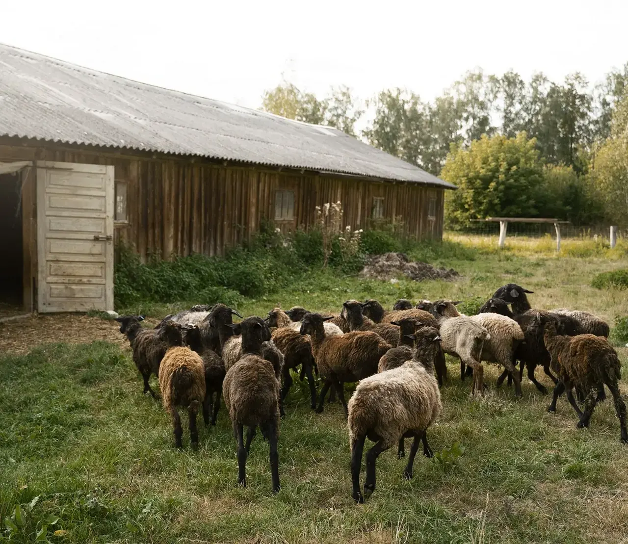 Ставропольская биофабрика станет частью федерального объединения по производству ветеринарных препаратов