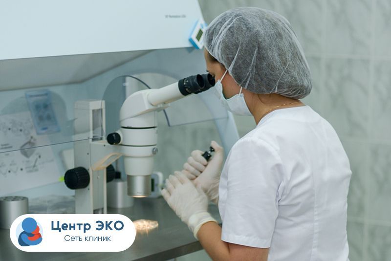 Клиника «Центр ЭКО — Ставрополь» проводит бесплатные консультации бесплодных пар