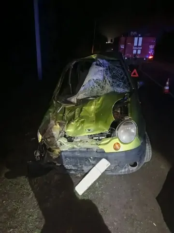 На Ставрополье лошадь пробила лобовое стекло машины и травмировала пассажирку