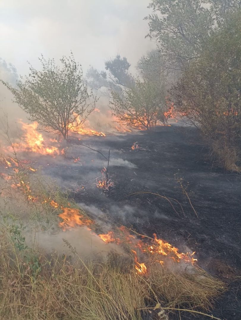 Ландшафтный пожар площадью 1 гектар вручную тушили в Шпаковском округе