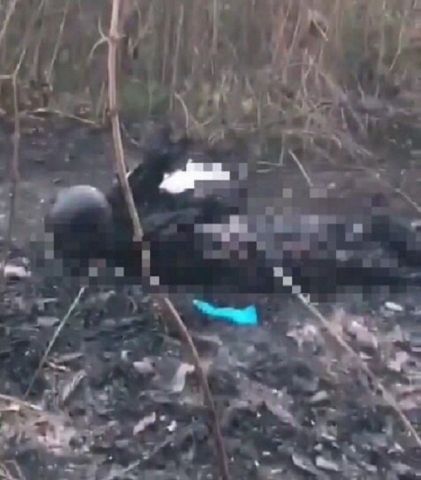 Фото: Под Невинномысском найдены обгоревшие человеческие останки Фото: Под Невинномысском найдены обгоревшие человеческие останки