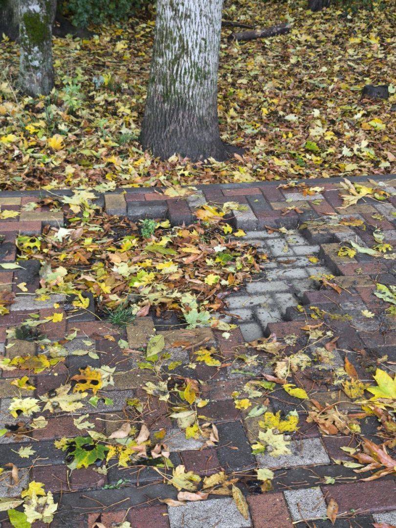 Воров тротуарной плитки «спалили» в одном из районов Ставрополя