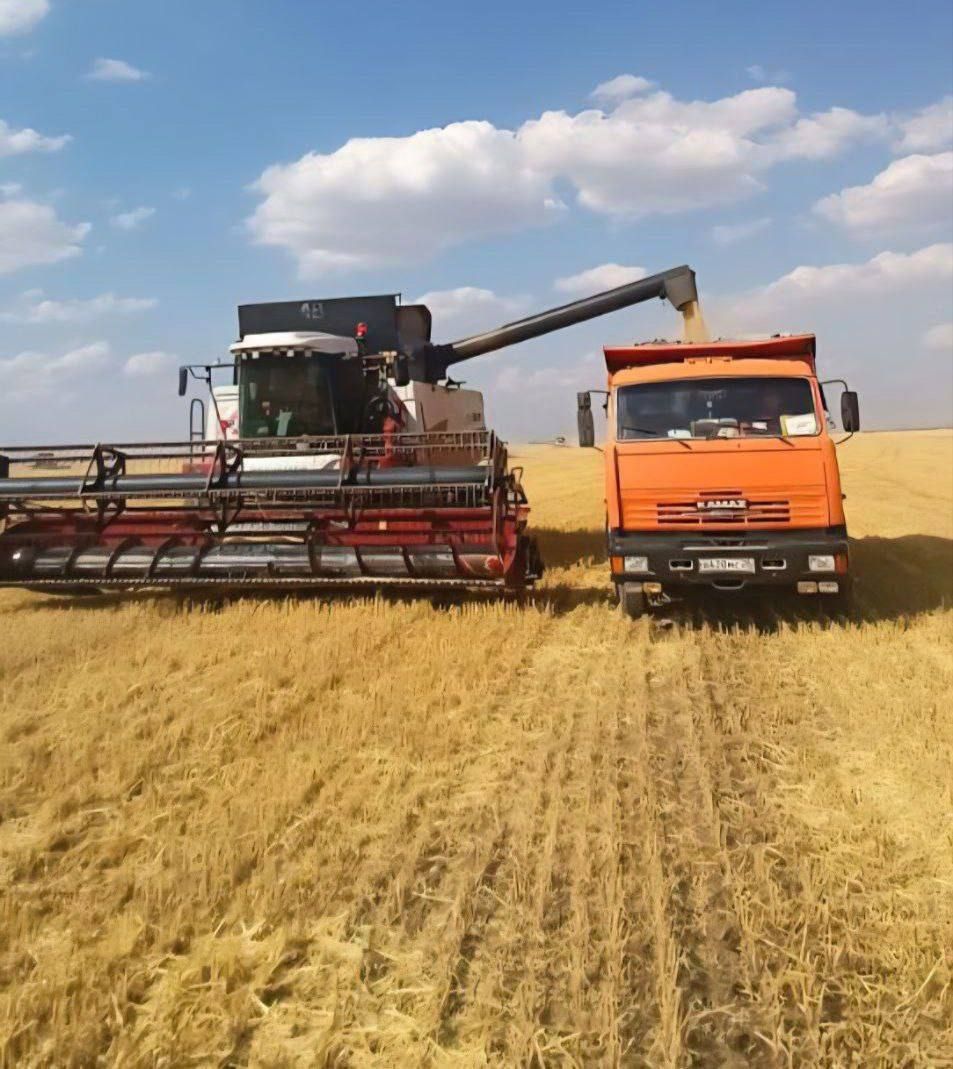 Уборка урожая началась на Ставрополье