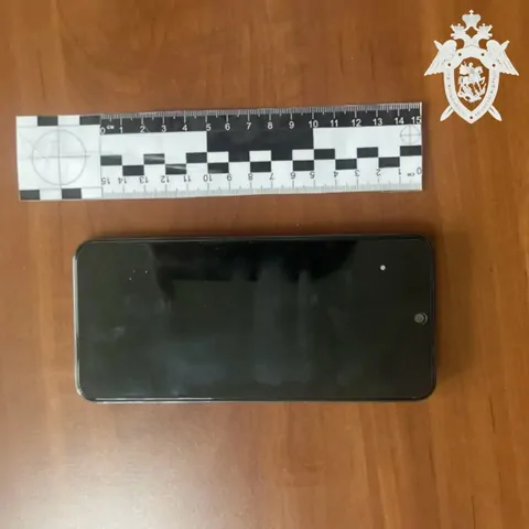 Двое юных жителей Ставрополья пойдут под суд за дропперство