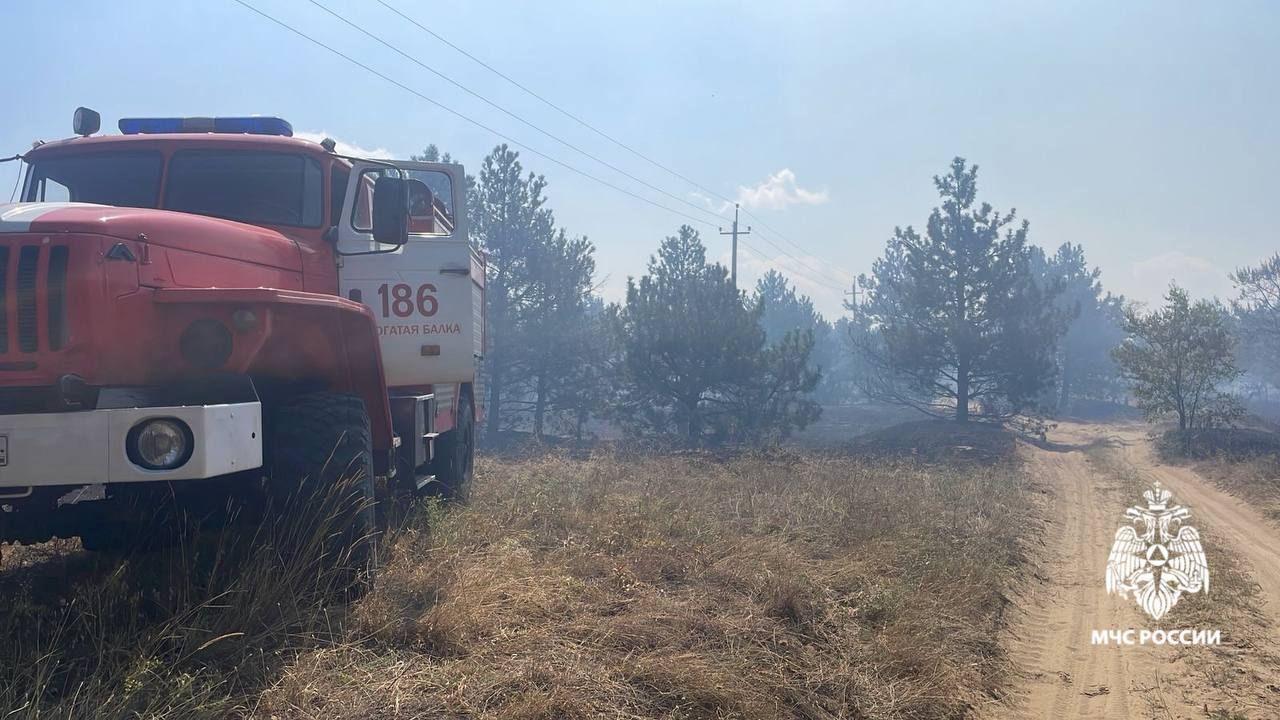 Лесной пожар на горе Куцай ликвидирован на площади 50 гектаров — МЧС Ставрополья