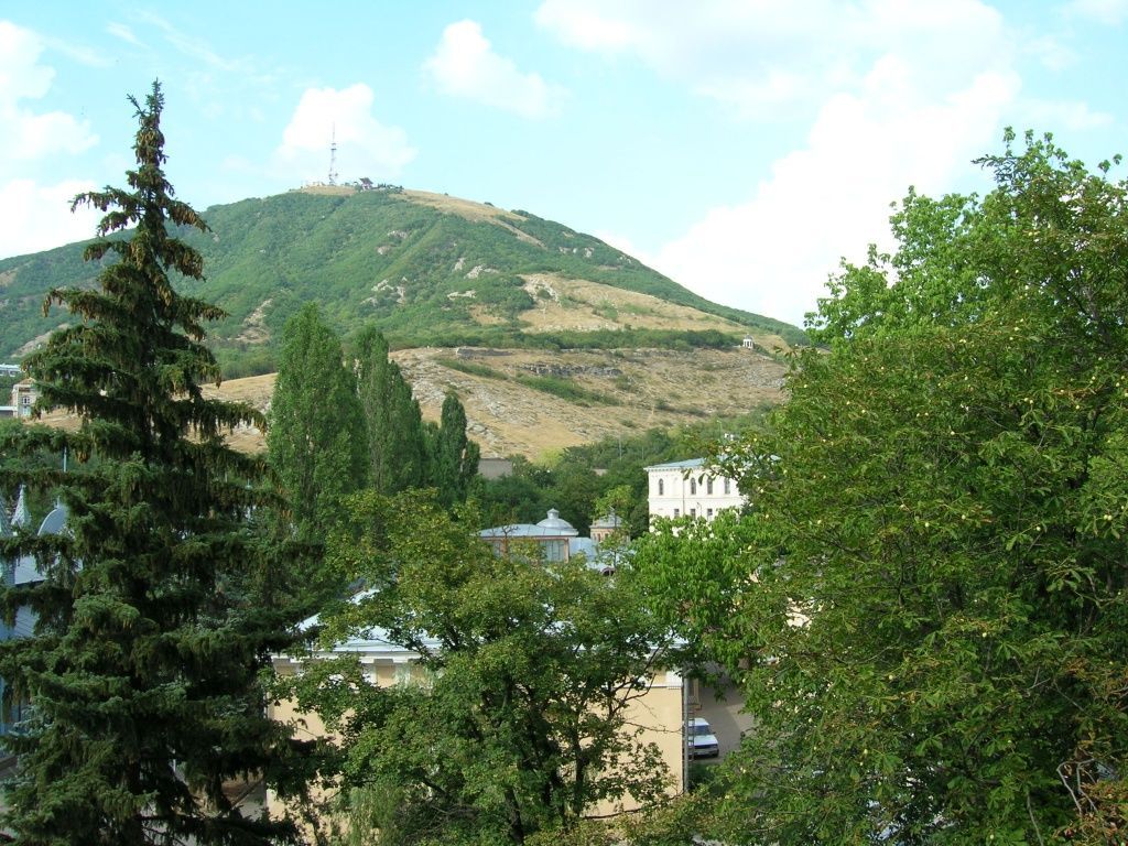 Деревья возрастом в 240 лет нашли на горе Бештау