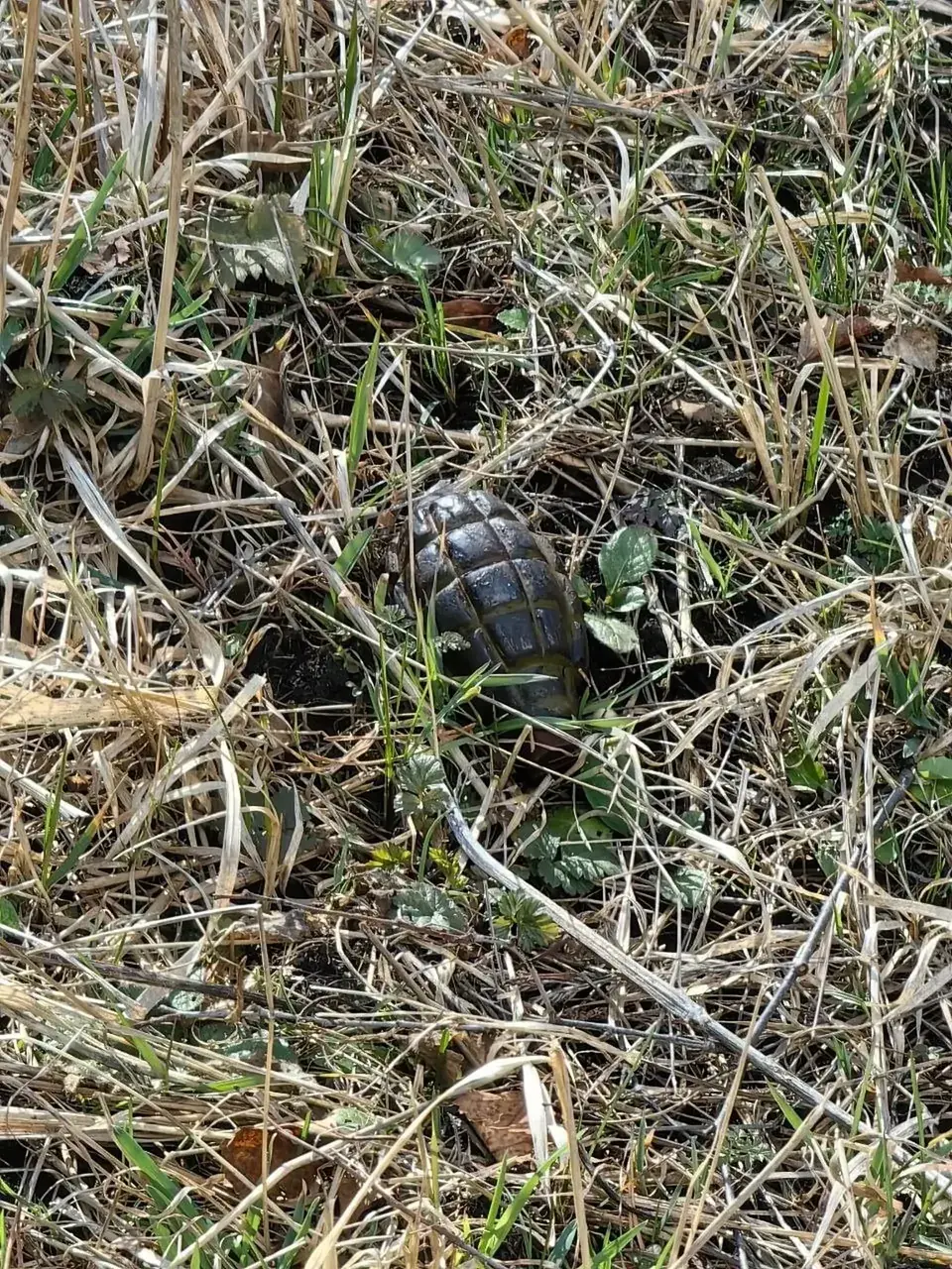 Обнаруженную в Кисловодске гранату изъяли и направили на экспертизу