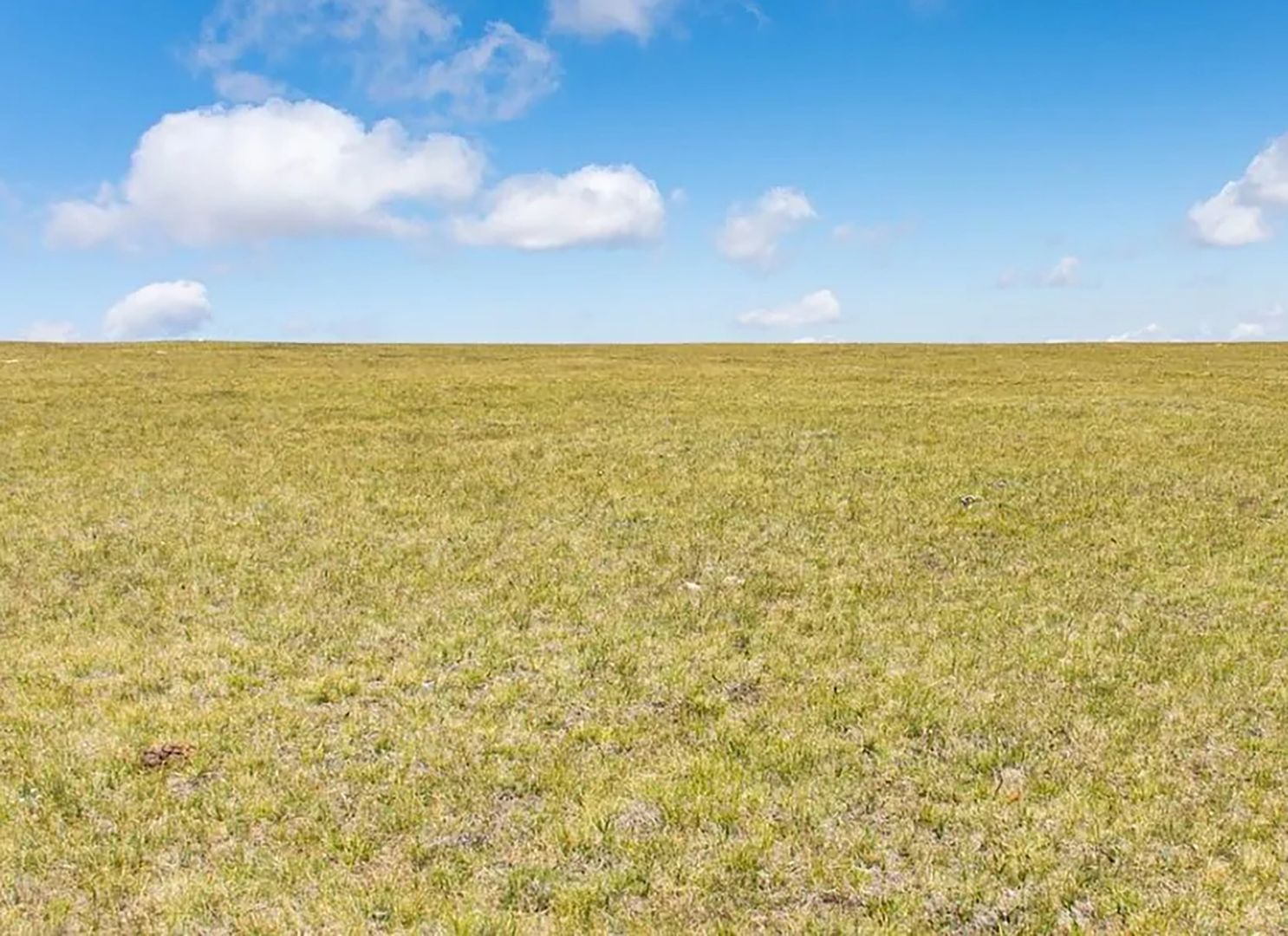 Лжеовощевода осудили за аферу на 2 млн рублей