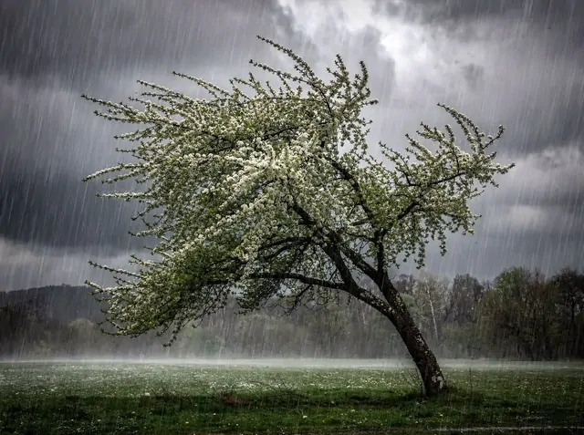 Дожди со снегом и похолодание ждут ставропольцев в первые майские выходные