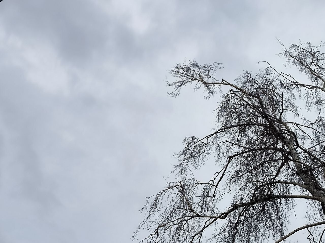 На Ставрополье из-за непогоды ввели режим повышенной готовности