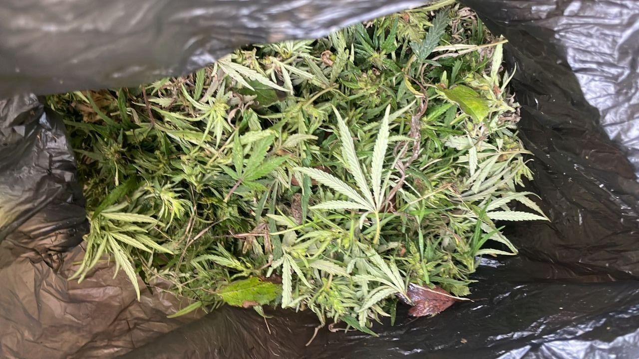 Полиция изъяла у ставропольца почти 300 граммов марихуаны