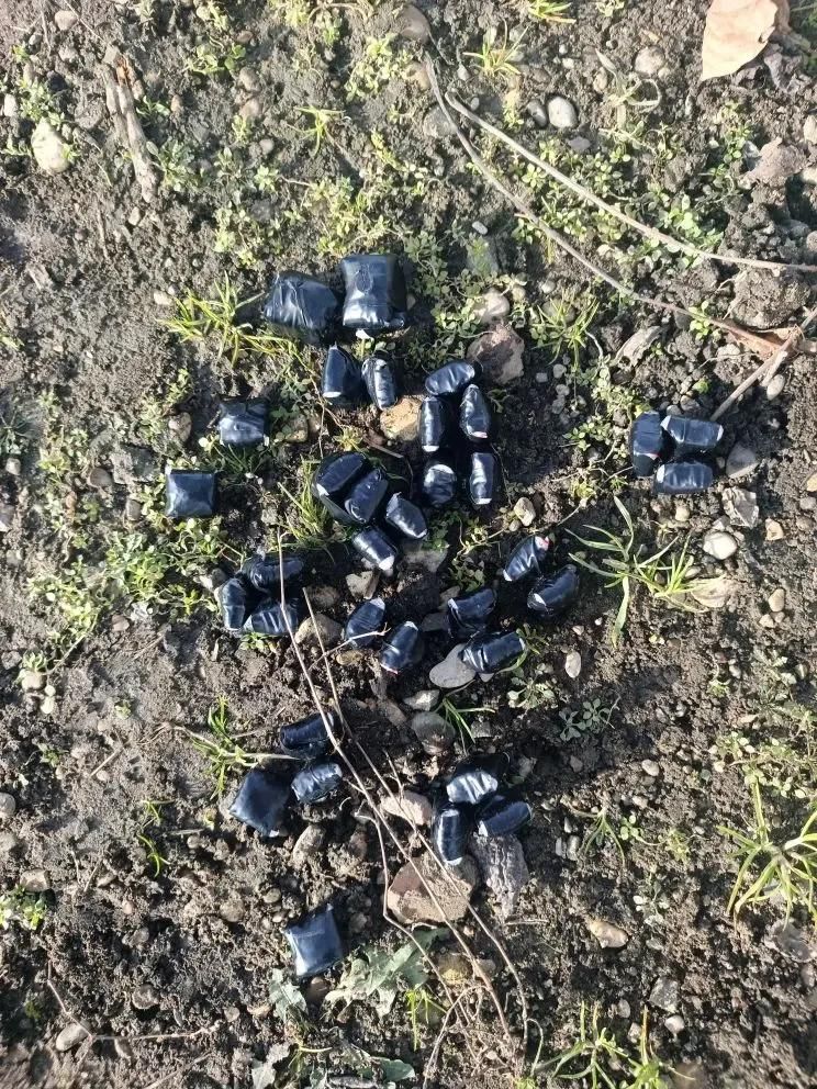 Иностранец пытался сбыть наркотики в Пятигорске