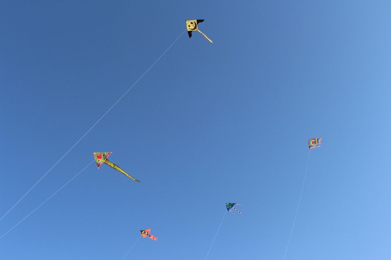 Фестиваль воздушных змеев пройдет на Ставрополье