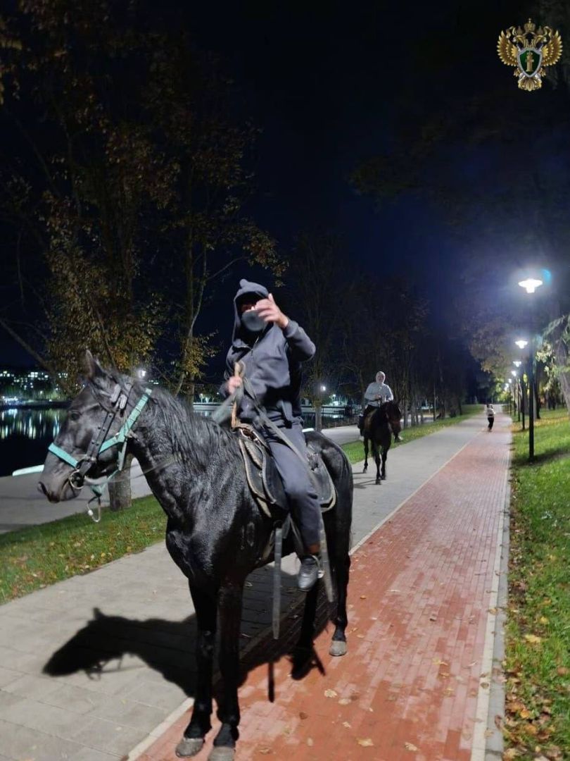 Всадник из Кисловодска ответит перед судом за нападение на пожилую пару