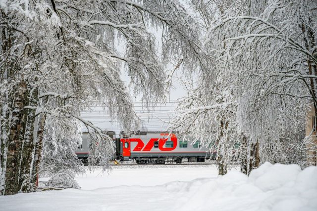 Круизный поезд на родину Деда Мороза впервые запустят из Минеральных Вод