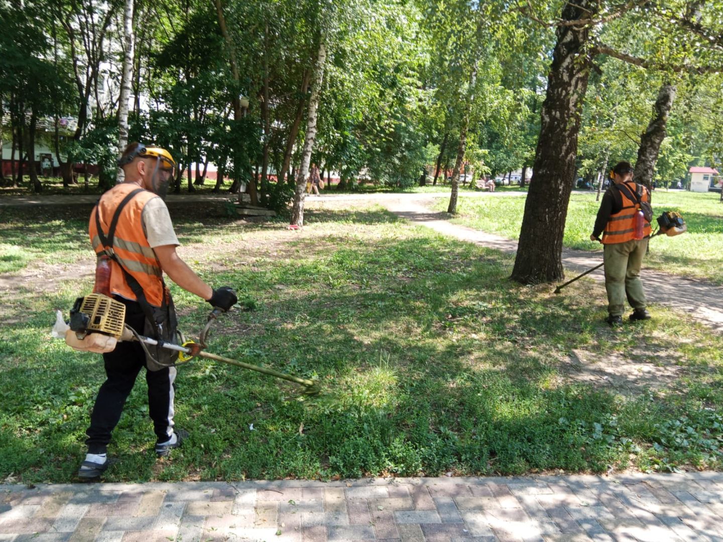 Около 400 тысяч квадратных метров территории очистили от амброзии в Ставрополе
