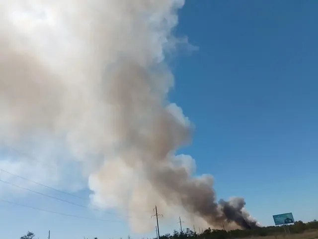 Жители Благодарненского округа жалуются на вонь от горящего мусорного полигона